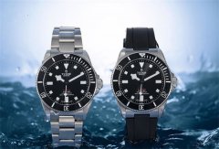 帝舵品种及价格