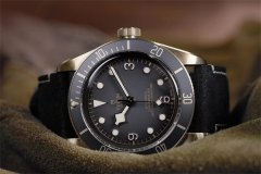 帝舵怎么区分等级