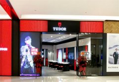 帝舵表12小时没带就停